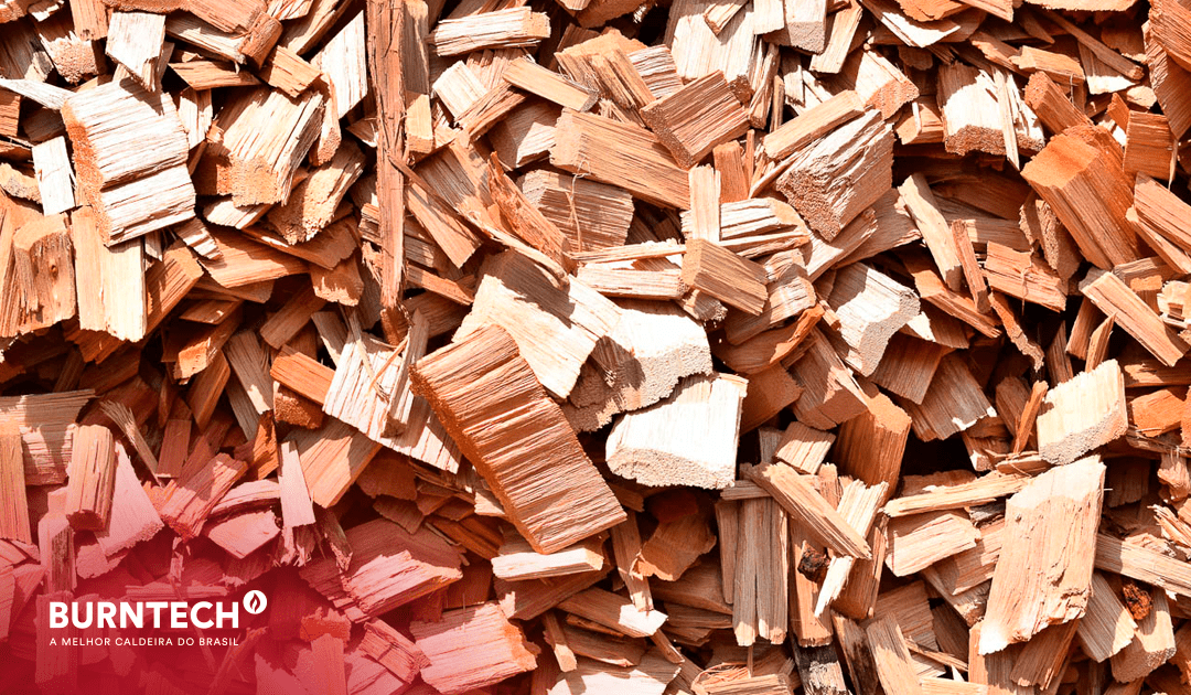 O que pode ser queimado em caldeiras à biomassa?