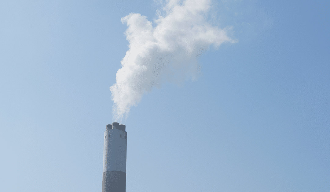 Entenda a importância da geração de vapor para processos industriais